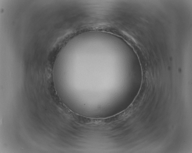 X0000083971447200703021831