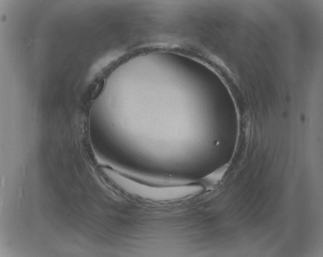 X0000083971448200703021831