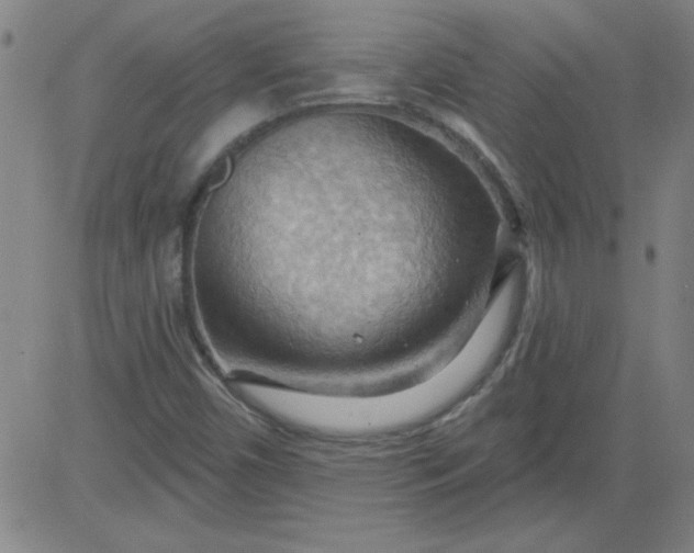 X0000083971450200703021831