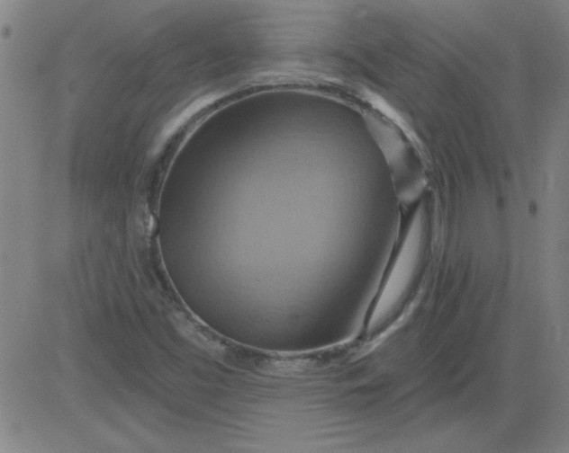 X0000083971453200703021831