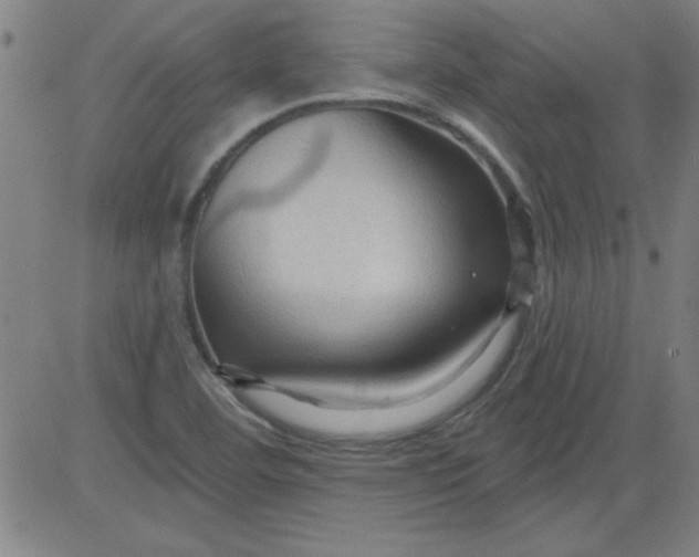 X0000083971460200703021831