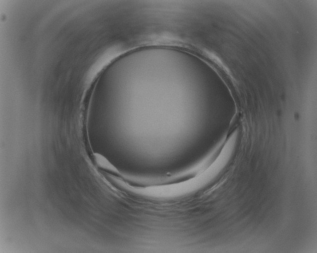 X0000083971463200703021831