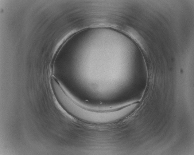 X0000083971476200703021831