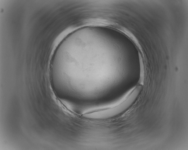 X0000083971488200703021831