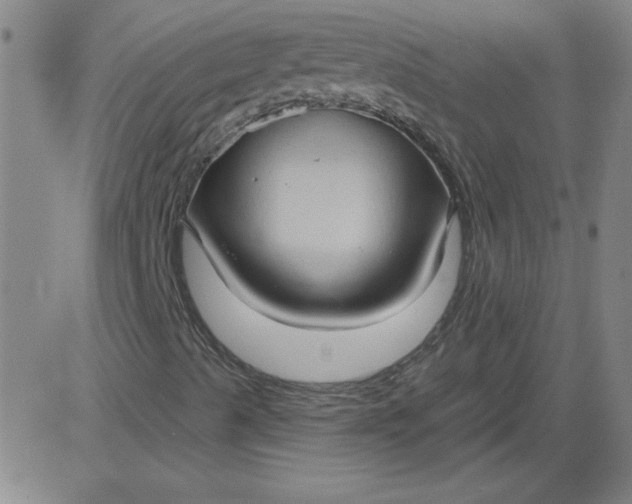 X0000083971489200703021830