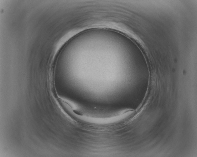 X0000083971517200703021830