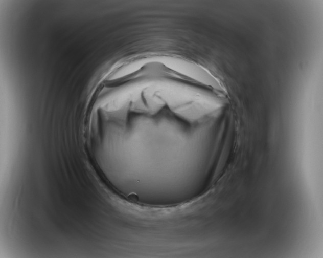X0000083970002200703091812