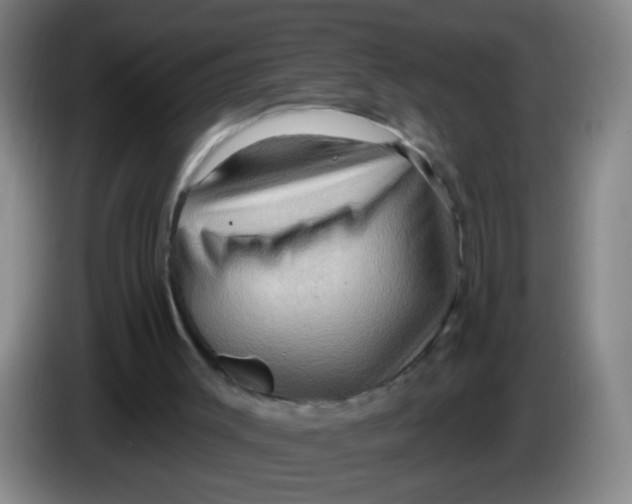 X0000083970003200703091812