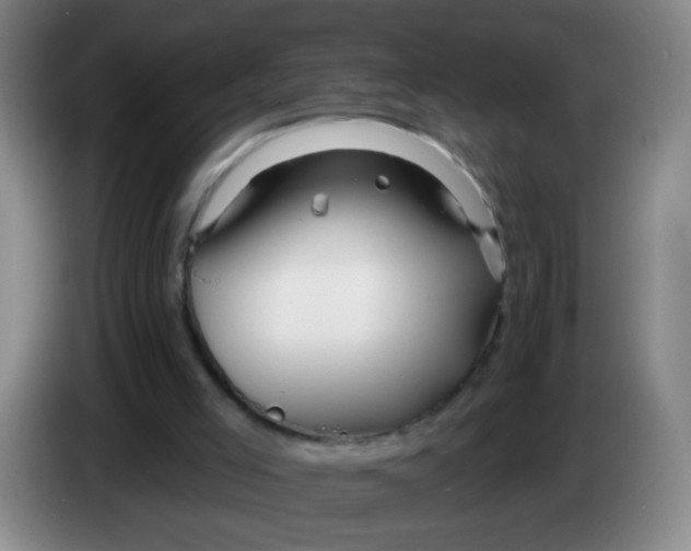 X0000083970005200703091812