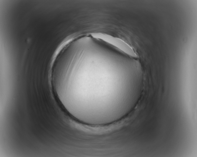 X0000083970006200703091812
