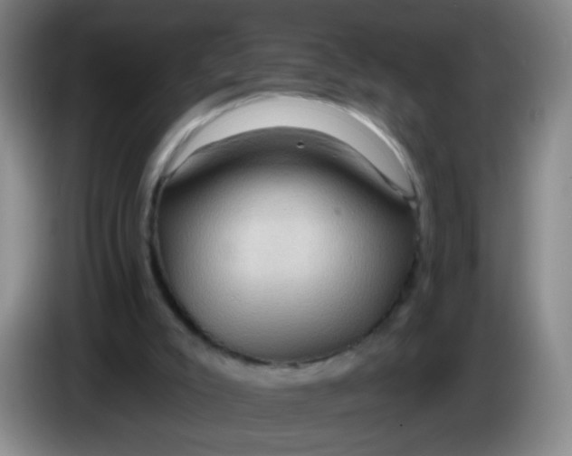 X0000083970007200703091812