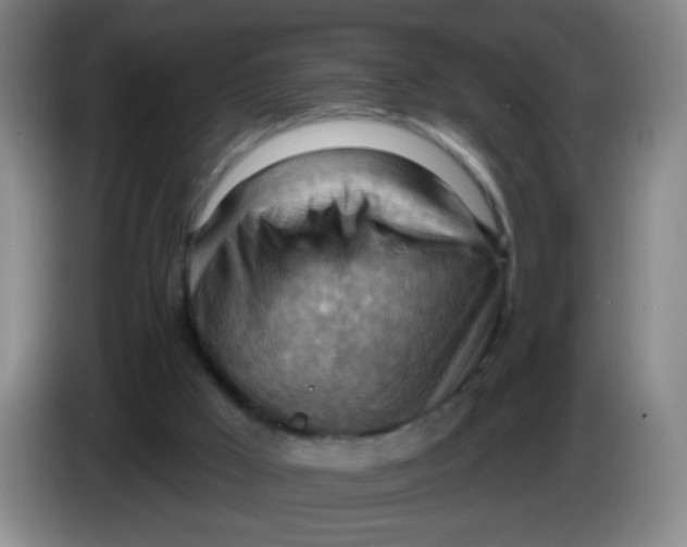 X0000083970009200703091812