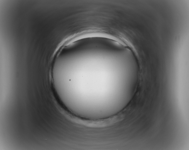 X0000083970011200703091812