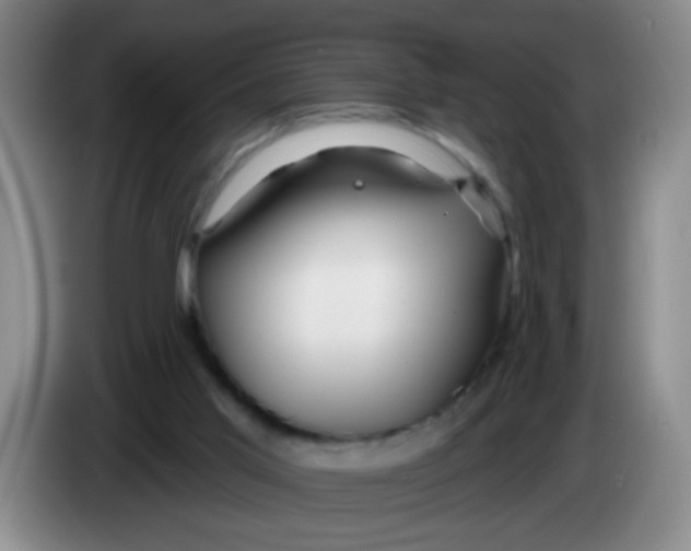 X0000083970013200703091812