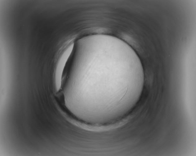X0000083970014200703091812