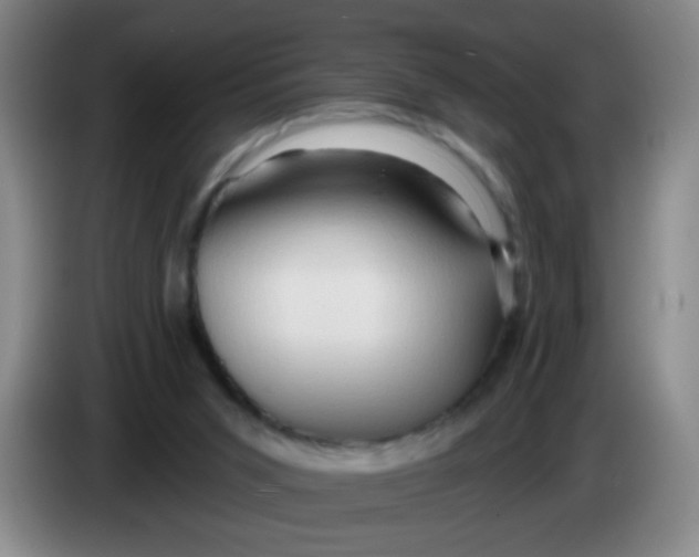X0000083970015200703091812