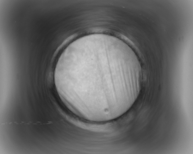X0000083970016200703091812