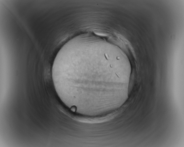 X0000083970017200703091812