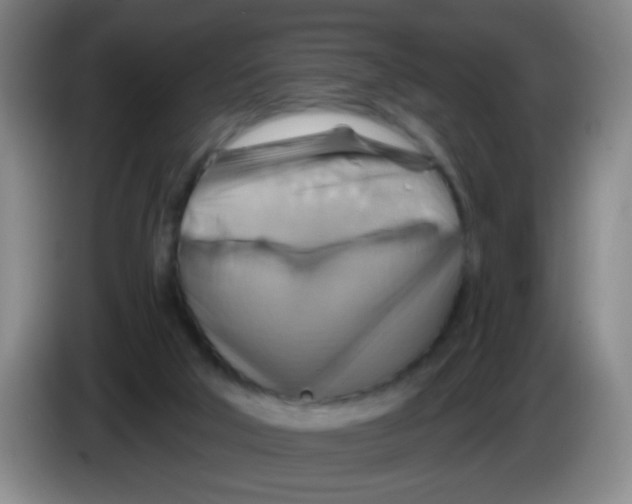 X0000083970018200703091812