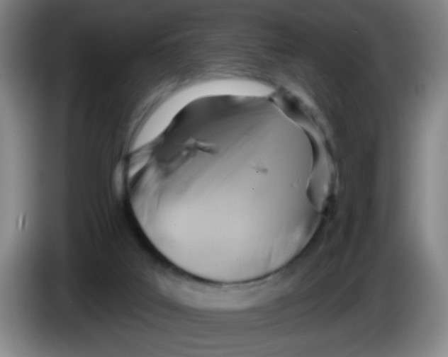 X0000083970019200703091812