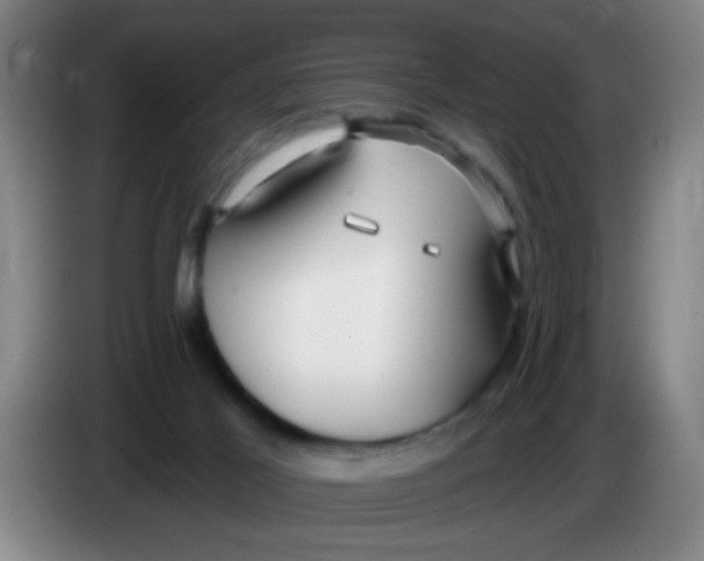 X0000083970021200703091812