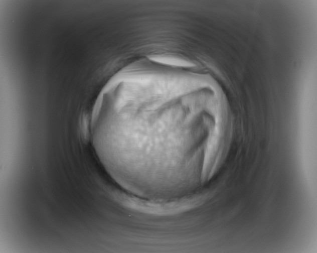 X0000083970022200703091812