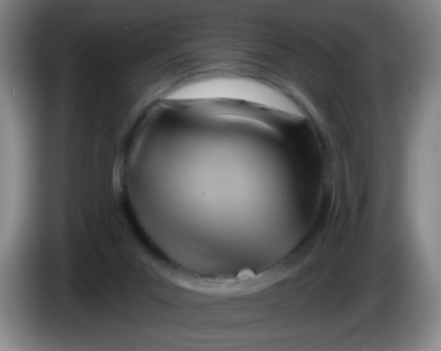 X0000083970023200703091812