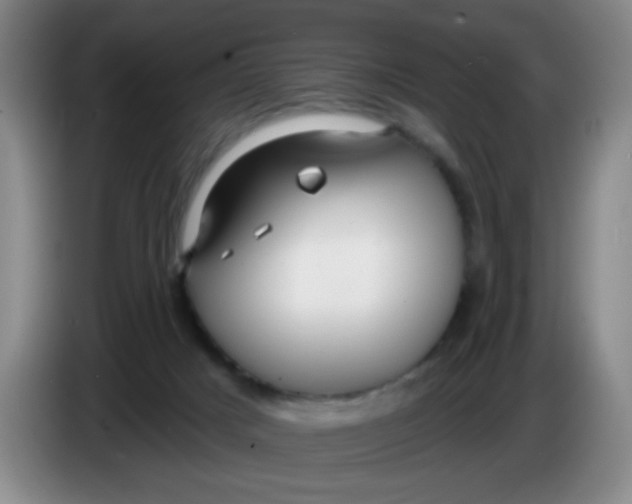 X0000083970025200703091812