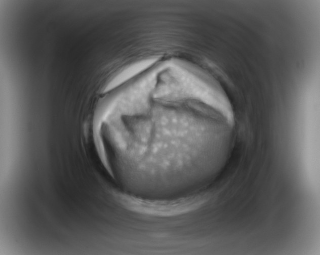 X0000083970026200703091812