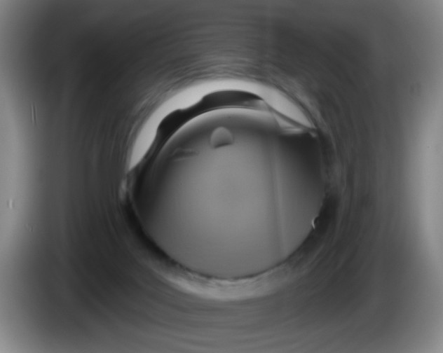X0000083970027200703091812