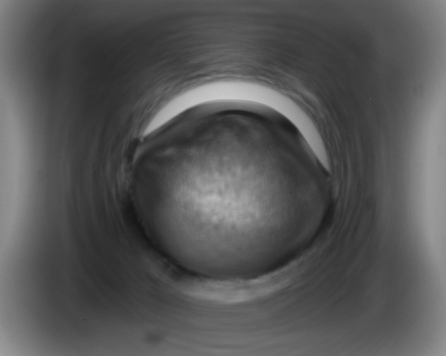 X0000083970029200703091812