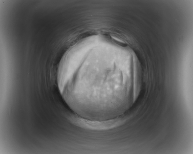 X0000083970030200703091812