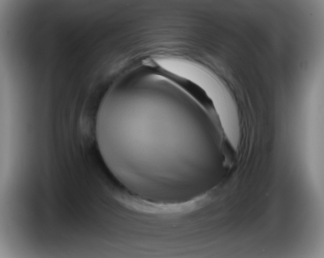X0000083970031200703091812