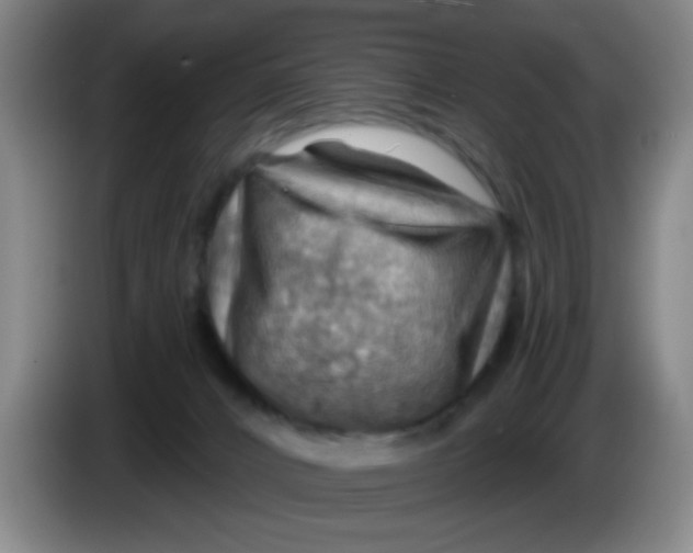 X0000083970032200703091812