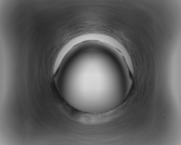 X0000083970033200703091812