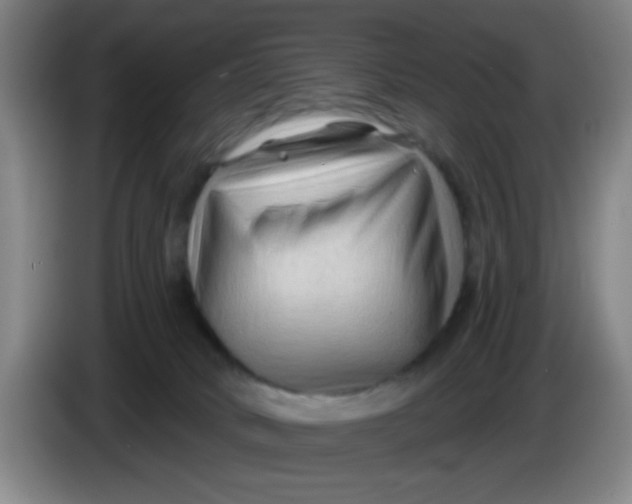 X0000083970034200703091812
