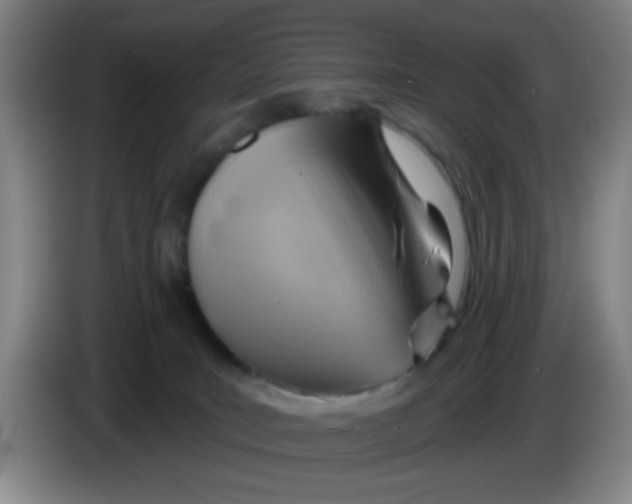 X0000083970035200703091812