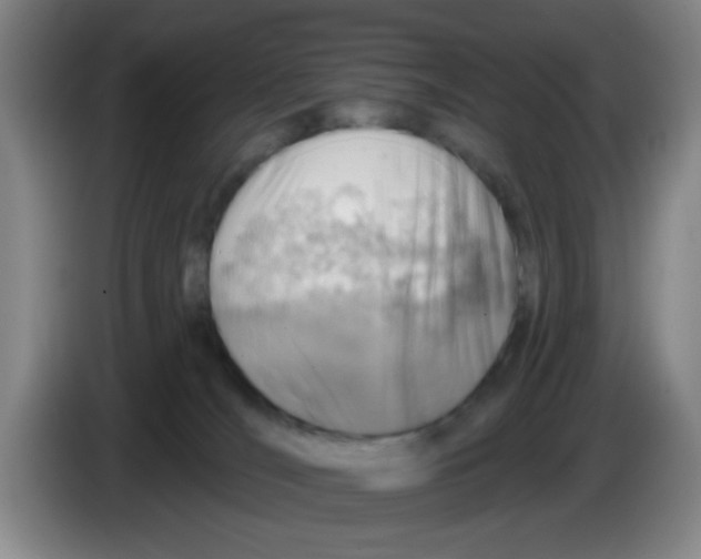 X0000083970036200703091812