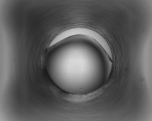 X0000083970037200703091812