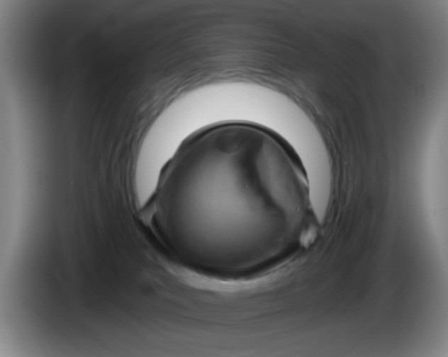 X0000083970039200703091812