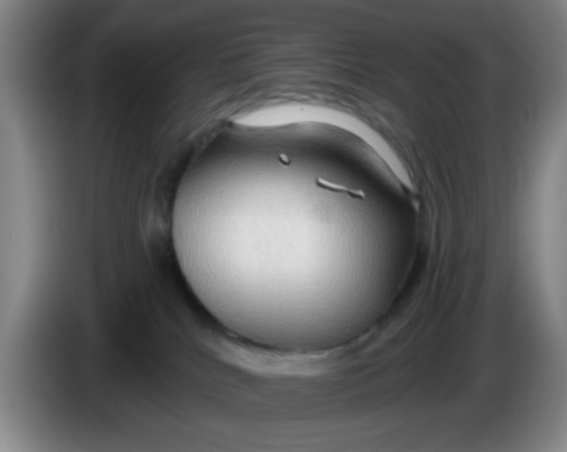 X0000083970040200703091812