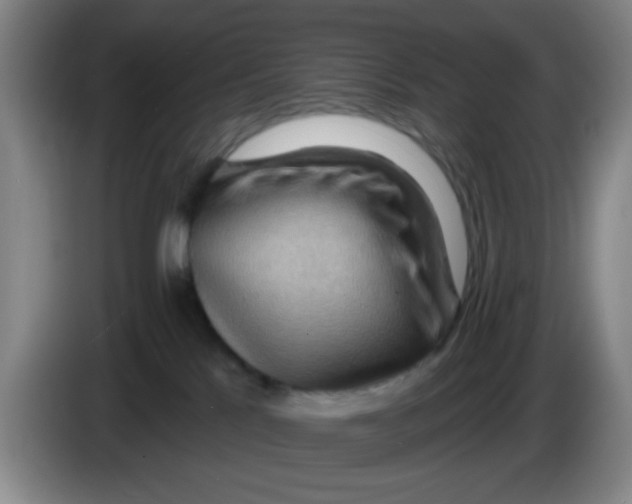 X0000083970041200703091812