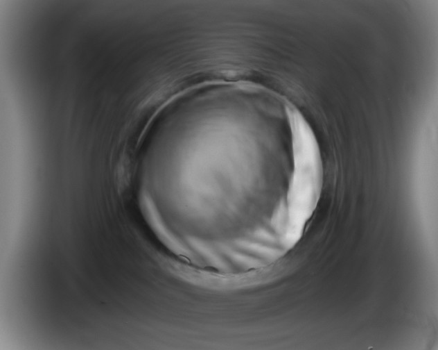 X0000083970043200703091812
