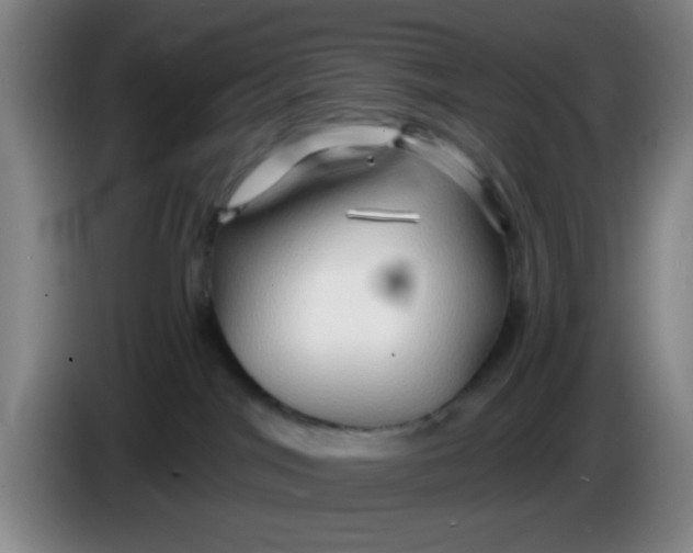 X0000083970044200703091812