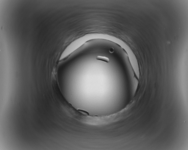 X0000083970045200703091812