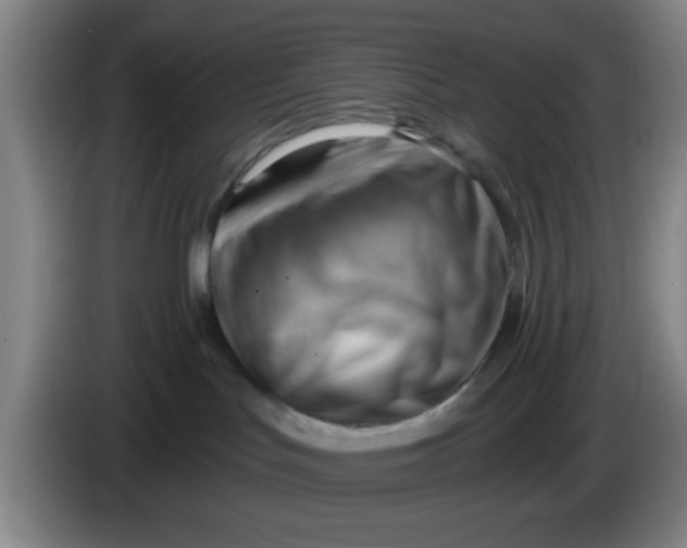 X0000083970047200703091812