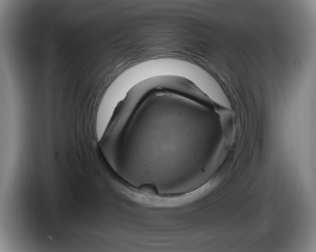 X0000083970048200703091812