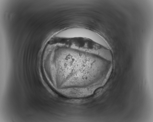 X0000083970049200703091811