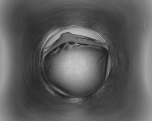 X0000083970050200703091811
