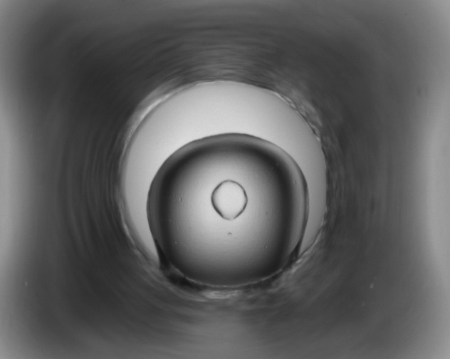 X0000083970051200703091811